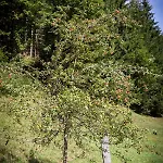 Gut Hinterklaus Apartamento