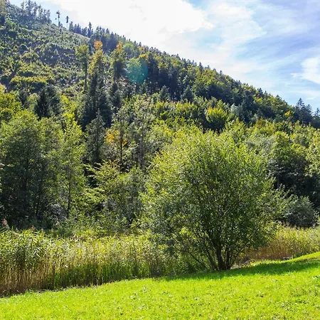 Gut Hinterklaus Daire Koppl