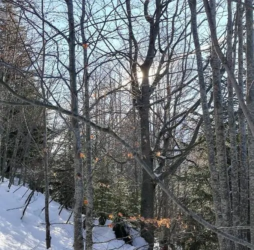 Gut Hinterklaus Appartamento