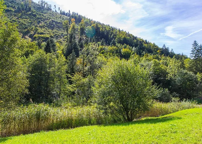 Gut Hinterklaus شقة Koppl