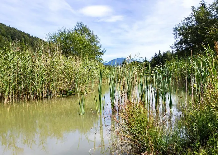 Gut Hinterklaus شقة *