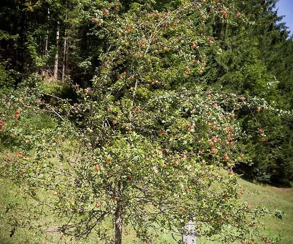 Gut Hinterklaus Appartamento